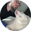 Aaron Rawcliffe Avatar